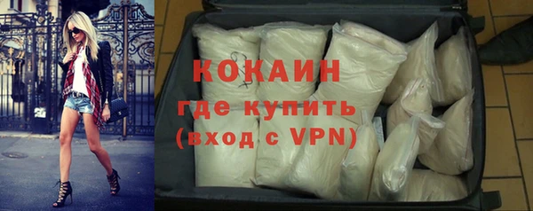 индика Богородицк