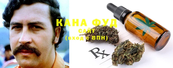 индика Богородицк