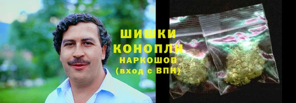 индика Богородицк