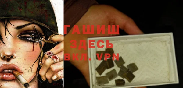 индика Богородицк