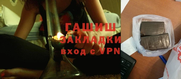 индика Богородицк
