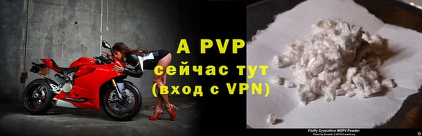 индика Богородицк