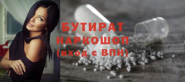 индика Богородицк
