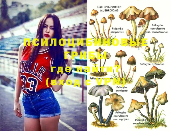 mdma Богородск