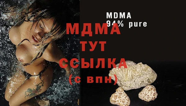 индика Богородицк