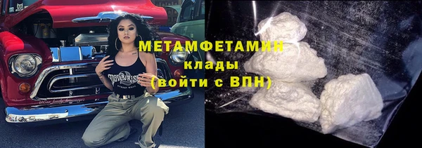 индика Богородицк