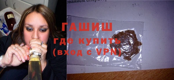индика Богородицк
