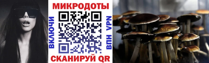 наркошоп  omg зеркало  Псилоцибиновые грибы Psilocybe  Катав-Ивановск 